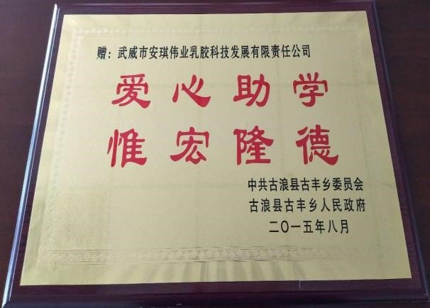 2018.05.25市委安全督察组到